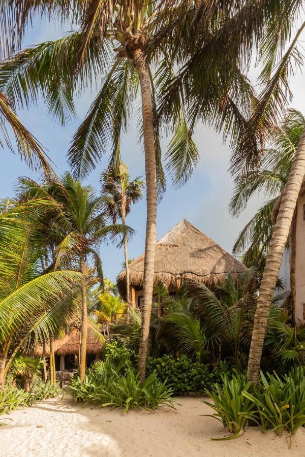 Encantada Tulum Eksteriør bilde